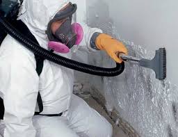 Best Environmental Consulting for Mold Prevention  in Olmos Park, TX